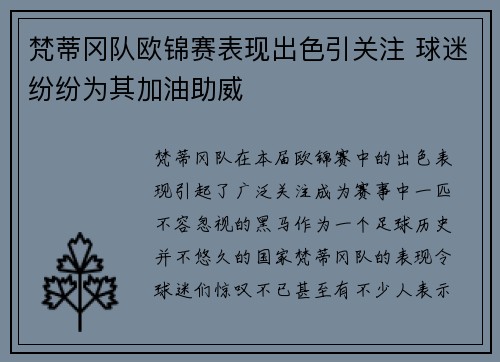 梵蒂冈队欧锦赛表现出色引关注 球迷纷纷为其加油助威